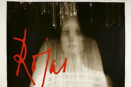 Rojas réquiem de la mariposa : Gonzalo Rojas.