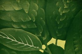 Herbolaria botiquín inagotable de la naturaleza : 28 de marzo al 28 de mayo de 1984.