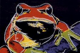 Warhol Andy's Flora & Fauna Series Flowers & Endangered Species de FleetBoston Financial Art Collection 19 de junio al 15 de septiembre.