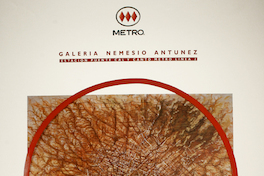 Estación terminal pinturas Carlos Lizama : galería Nemesio Antúnez : Estación Puente Cal y Canto metro línea 2.
